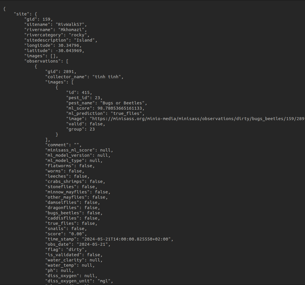 JSON Format